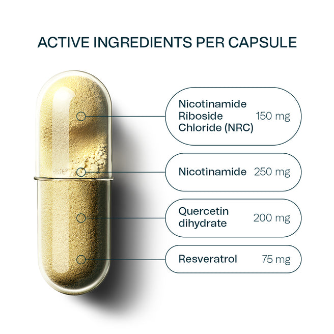 NRgize+ Active Ingredients Per Capsule