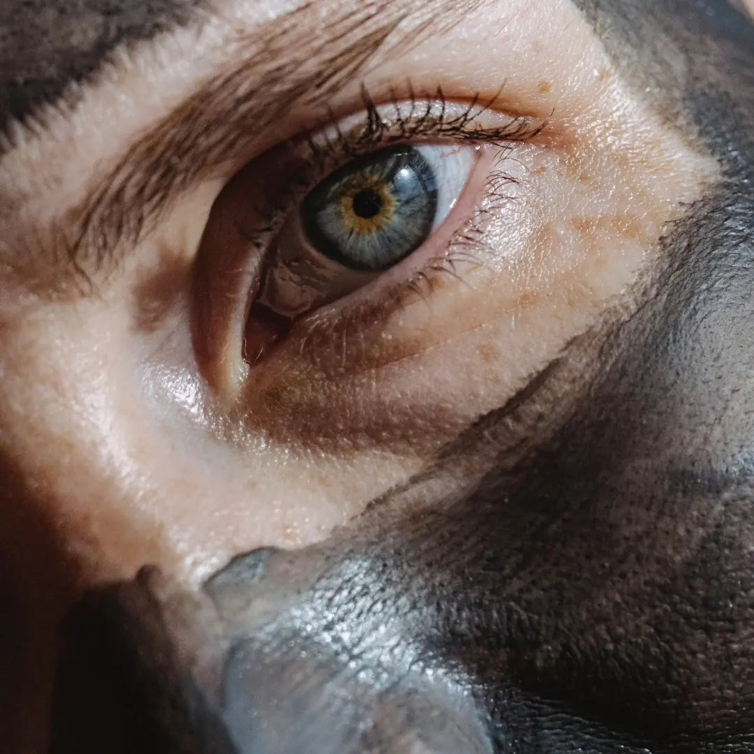 Close up of woman's eye and nose area