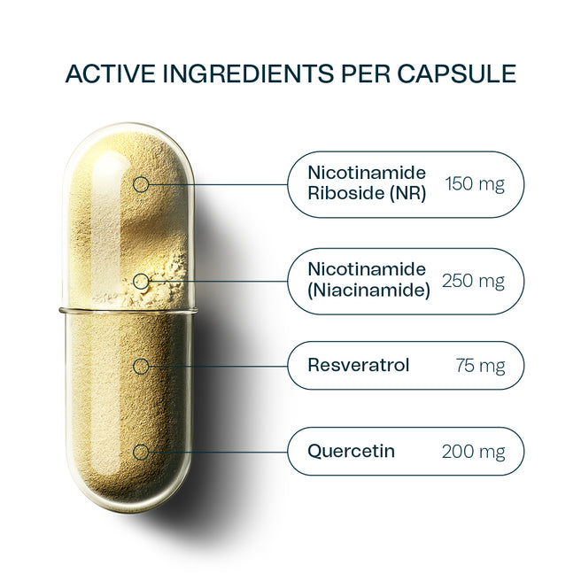 NRgize+ Active Ingredients Diagram