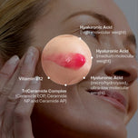 HyalaVive_ingredients