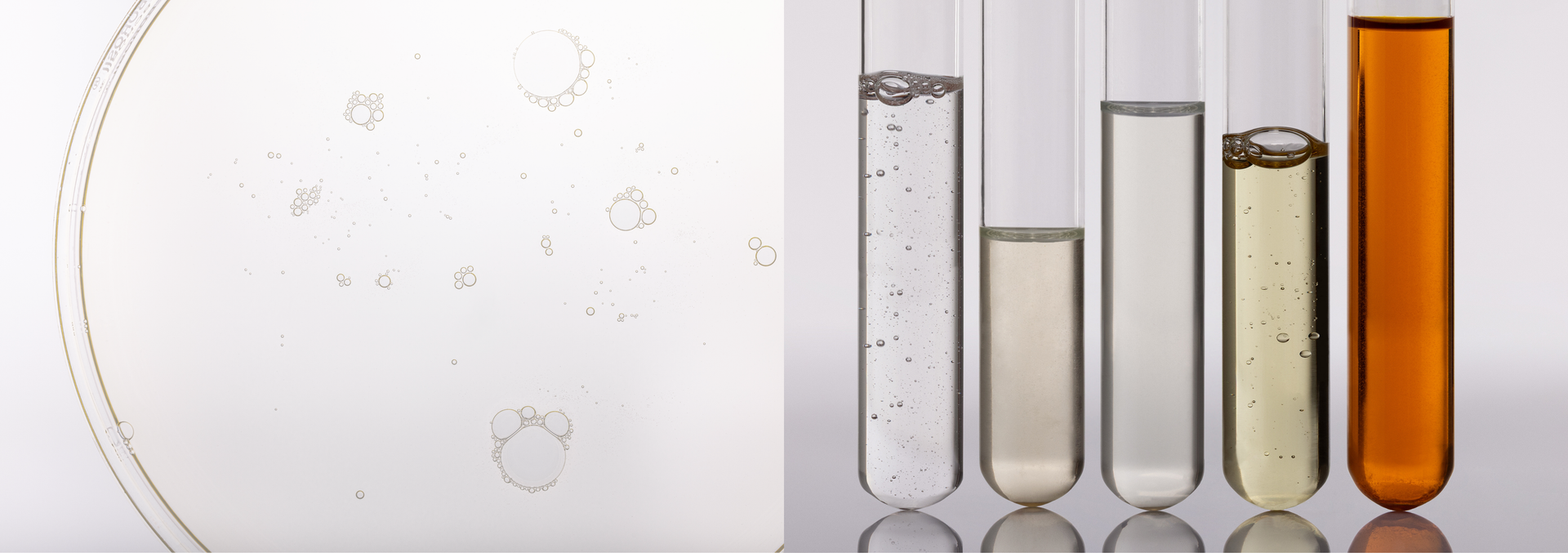 Are you new to Synergie Skin?