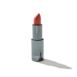LipSync Lipstick shade Secre-c